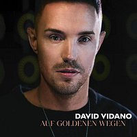 David Vidano – Auf Goldenen Wegen (Radio Mix)