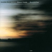 Edward Vesala, Sound & Fury – Invisible Storm