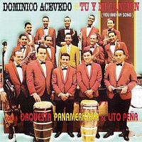 Dominico Acevedo, Orquesta Panamericana – Tú y Mi Canción