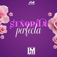 Los Mitre – Senorita Perfecta