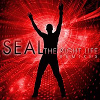 Seal – The Right Life - The Remixes