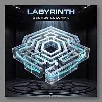 Přední strana obalu CD Labyrinth