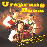 Ursprung Buam – A Riesenstimmung aus dem Zillertal