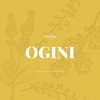 2jaja – Ogini