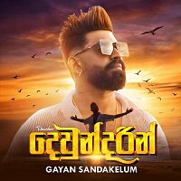 Přední strana obalu CD Dewundarin