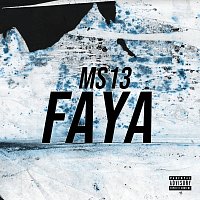 Ms13 – Faya