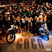 Dipinto, Frezza – COCO