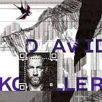 David Koller – QR