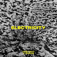 FAST BOY, R3HAB – Electricity