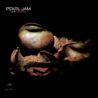 Pearl Jam – Life Wasted/Come Back (Live)