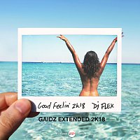 DJ Flex – Good Feelin' [Gaidz Extended 2k18]
