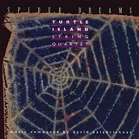 Turtle Island String Quartet – Spider Dreams