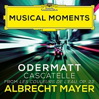 Albrecht Mayer, Kimiko Imani – Odermatt: Les couleurs de l'eau, Op. 22: III. Cascatelle [Musical Moments]