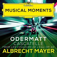 Odermatt: Les couleurs de l'eau, Op. 22: III. Cascatelle [Musical Moments]