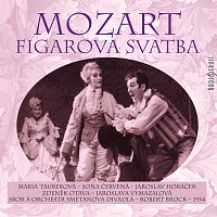 Různí interpreti – Figarova svatba CD