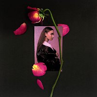 TAYA – Tayá