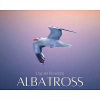 Daniel Flowers – Albatross (Arr. for Guitar)