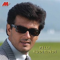 Pelli Kudirindi (Original Motion Picture Soundtrack)
