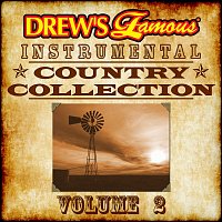 Drew's Famous Instrumental Country Collection, Vol. 2