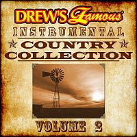 The Hit Crew – Drew's Famous Instrumental Country Collection, Vol. 2