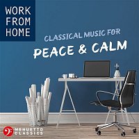 Přední strana obalu CD Work From Home: Classical Music for Peace & Calm