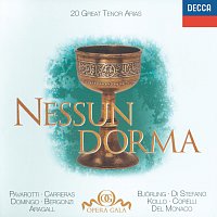 Přední strana obalu CD 20 Great Tenor Arias - "Nessun Dorma" - Bizet / Donizetti / Puccini / Verdi etc.