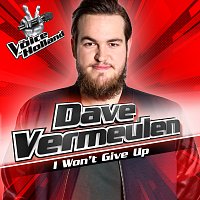 Dave Vermeulen – I Won't Give Up [From The Voice Of Holland 6]
