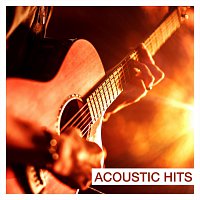 Různí interpreti – Acoustic Hits