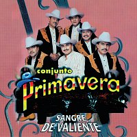 Conjunto Primavera – Sangre De Valiente