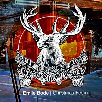 Přední strana obalu CD Christmas Feeling