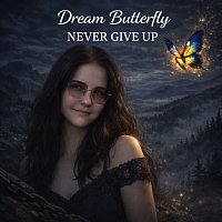 Přední strana obalu CD Never Give Up