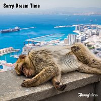 Přední strana obalu CD Sorry Dream Time