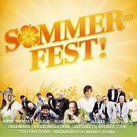 Přední strana obalu CD Sommerfest!