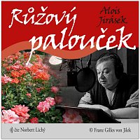 Motýlek (Papillon) – 8. část (CD-MP3) – Norbert Lichý – Supraphonline.cz