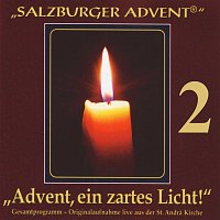 Různí interpreti – Salzburger Advent: Advent, ein zartes Licht! Folge 2