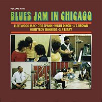Fleetwood Mac – Blues Jam In Chicago - Volume 2
