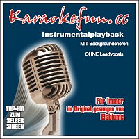 Karaokefun.cc VA – Fur immer - Karaoke