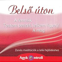 Agykontroll – Belső úton