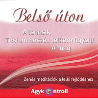 Agykontroll – Belső úton