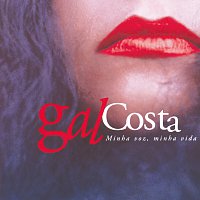 Gal Costa – Minha Voz, Minha Vida