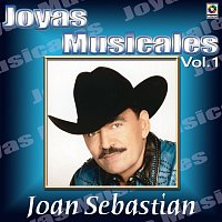 Joan Sebastian – Joyas Musicales: Lo Norteno De Joan Sebastian, Vol. 1