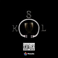 Přední strana obalu CD Skol