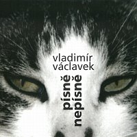 Vladimír Václavek – Písně nepísně CD