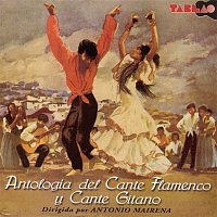 Přední strana obalu CD Antologia Del Cante Flamenco