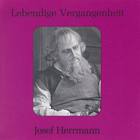 Josef Herrmann – Lebendige Vergangenheit - Josef Herrmann