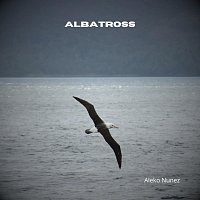Aleko Nunez – Albatross (Arr. for Guitar)