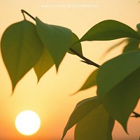 Přední strana obalu CD Quiet Tides