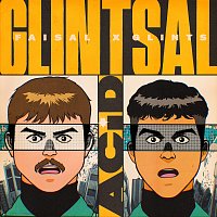 GLINTSAL, FAISAL, Glints – ACID