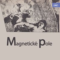 Jaroslav Kepka, Luděk Munzar – Magnetické pole