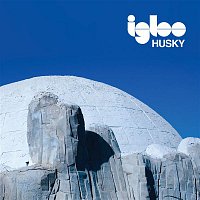Husky – Igloo